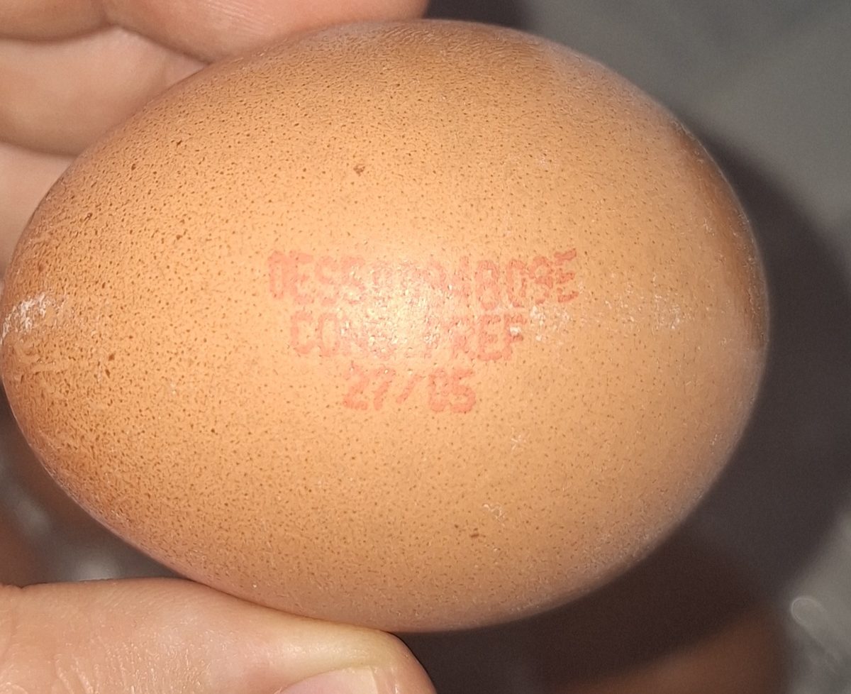 Comparativa de precios huevos bio